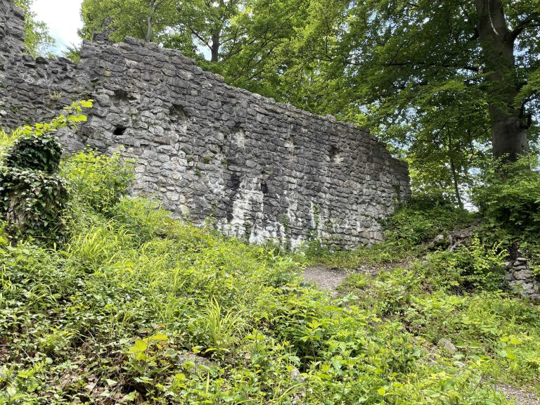 Binnenmauer zwischen Kapelle und Dürnitz H2 H