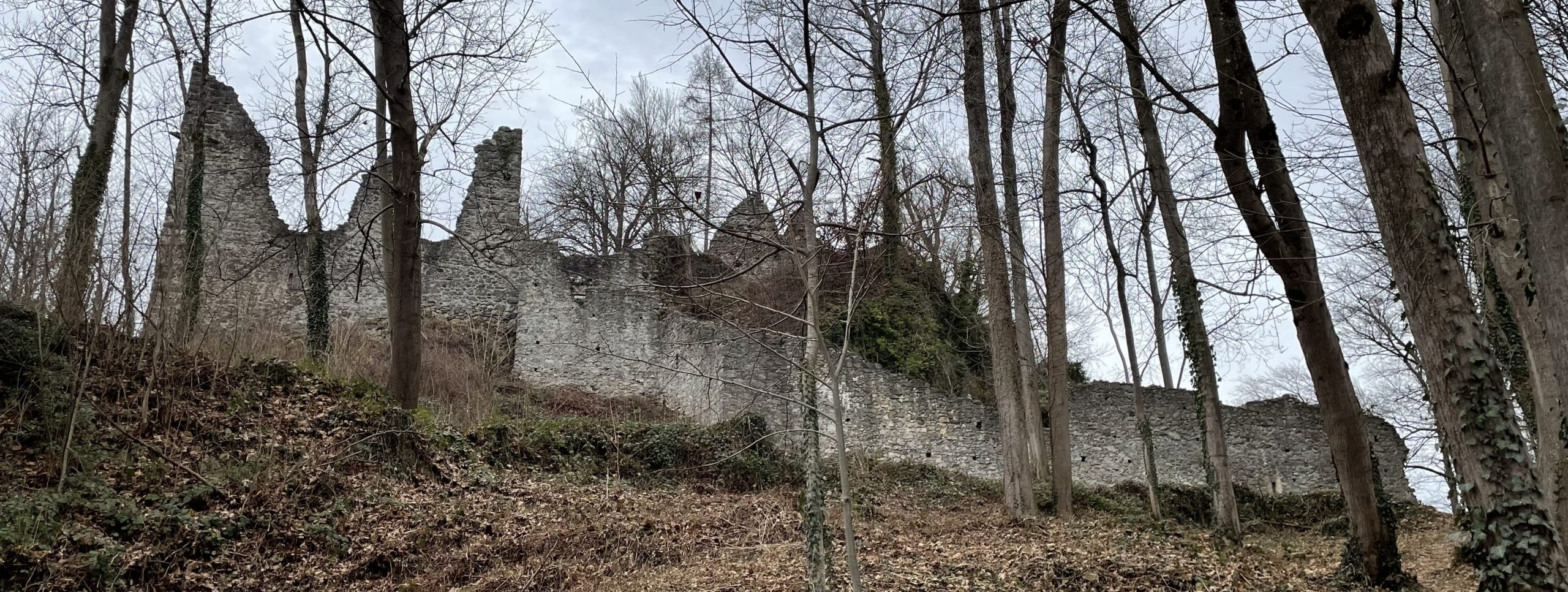 Palas und Bergfried mit Ringmauer